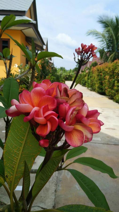 Baan Mek Lom Hotel Khao Lak Eksteriør billede